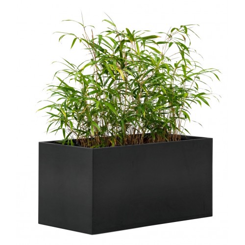 Blumenkasten Mohawk 120x60cm 