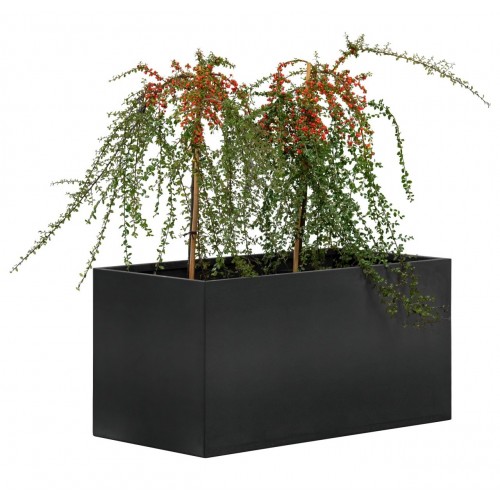 Blumenkasten Mohawk 90x50cm 