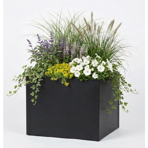 Blumenkasten Seneca XXL 100x100cm 