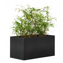 Blumenkasten Mohawk 120x60cm 