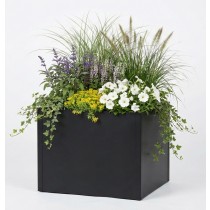 Blumenkasten Seneca XXL 100x100cm 